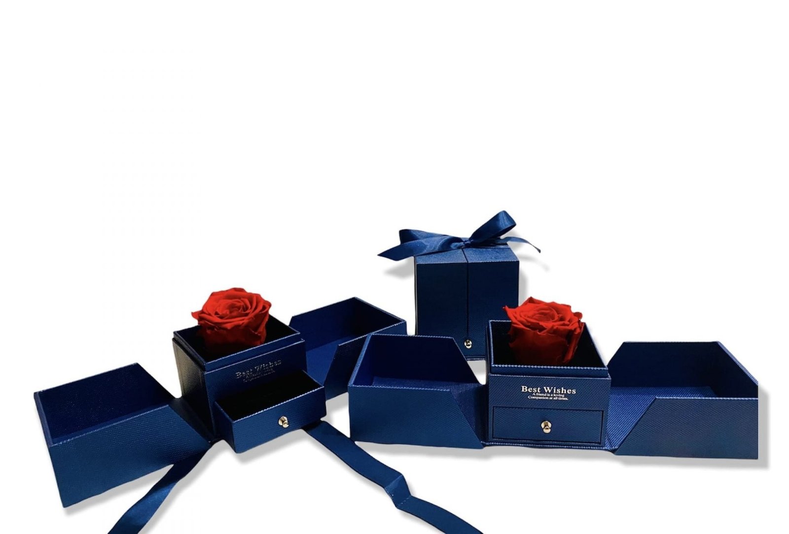 La Bella e la Bestia,Rosa Stabilizzata rossa profumata, rosa vera in elegante Box apribile con cassetto e rosa eterna ,Regali per Donne,San Valentino,Festa della Mamma, idee regalo donna compleanno.