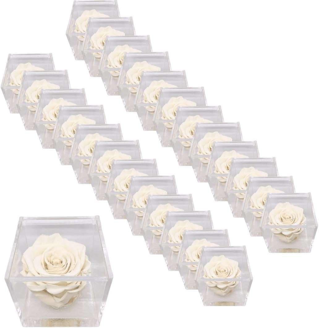 PremiumRose 25 Cubi Rosa Bianca Stabilizzata e Profumata da 6 cm con Rosa Eterna Vera, Idea Regalo Mamma, Fidanzata, Amica, Idea