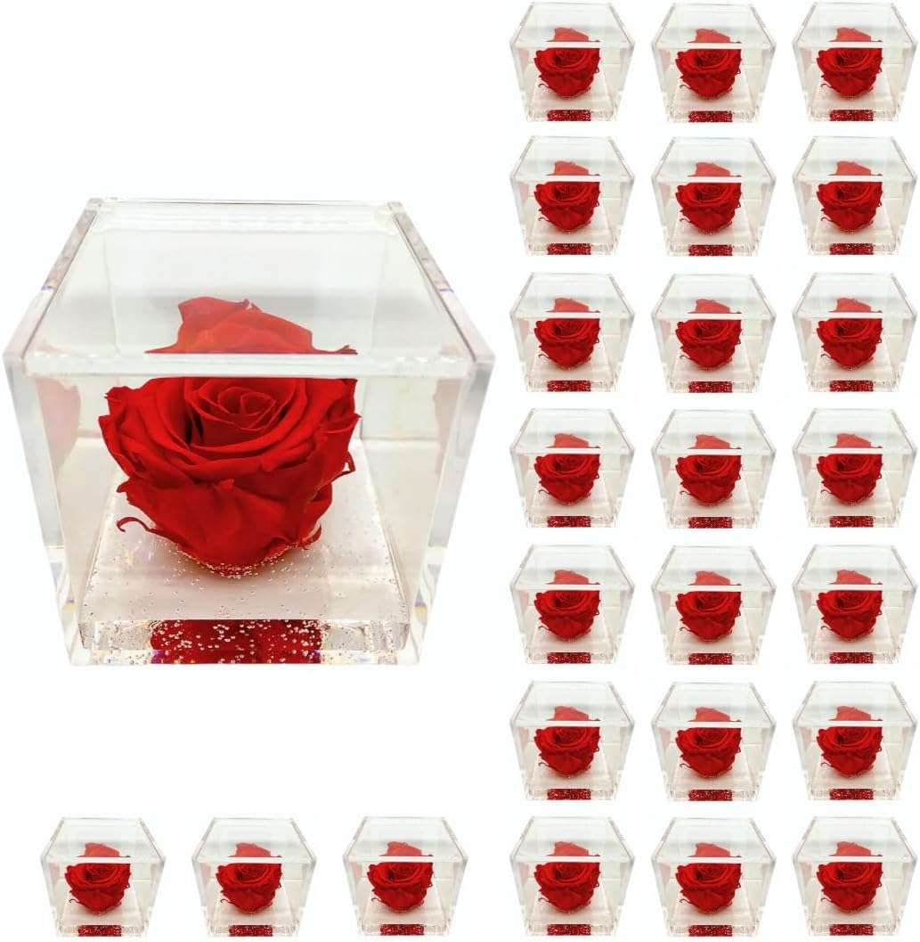 PremiumRose 25 Cubi Rosa Rossa Stabilizzata e Profumata da 6 cm con Rosa Eterna Vera, Idea Regalo Mamma, Fidanzata, Amica, Idea