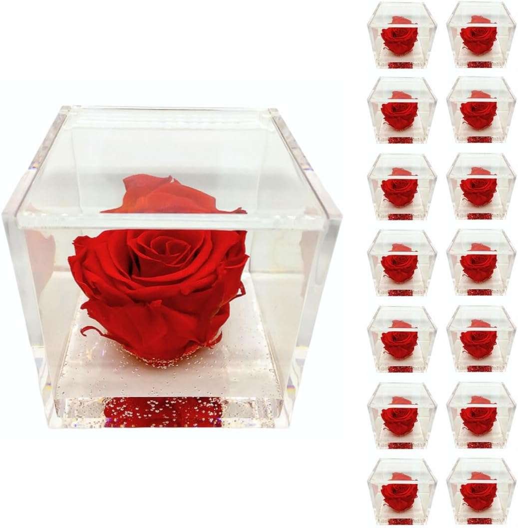 PremiumRose 15 Cubi Rosa Rossa Stabilizzata e Profumata da 5 cm con Rosa Eterna Vera, Idea Regalo Mamma, Fidanzata, Amica, Idea