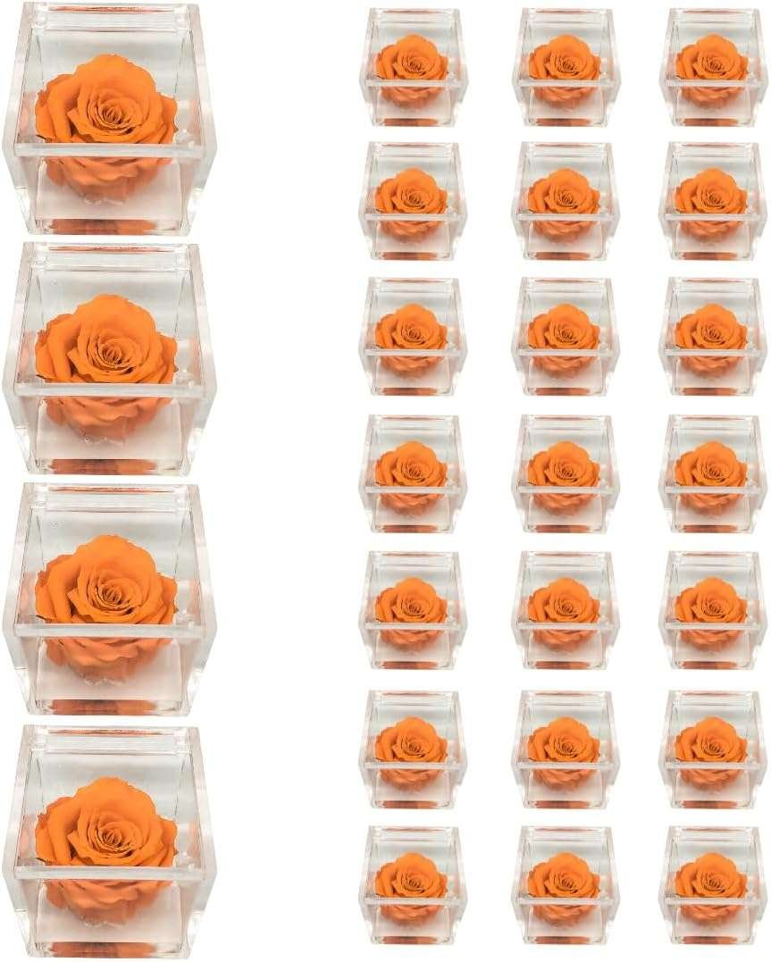 PremiumRose 25 Cubi Arancione Rossa Stabilizzata e Profumata da 5 cm con Rosa Eterna Vera, Idea Regalo Mamma, Fidanzata, Amica,