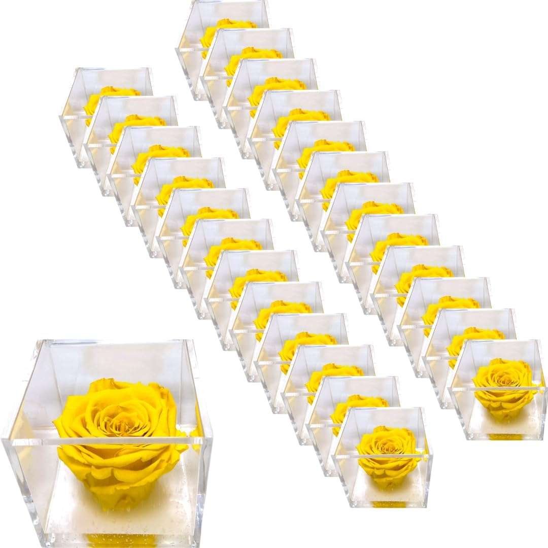 PremiumRose 25 Cubi Rosa Gialla Stabilizzata e Profumata da 8 cm con Rosa Eterna Vera, Idea Regalo Mamma, Fidanzata, Amica, Idea