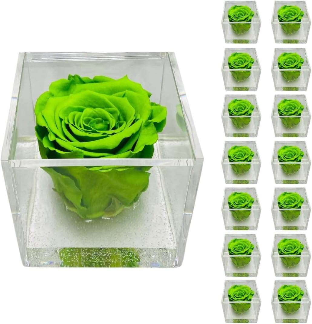 PremiumRose 15 Cubi Rosa Verde Stabilizzata e Profumata da 6 cm con Rosa Eterna Vera, Idea Regalo Mamma, Fidanzata, Amica, Idea