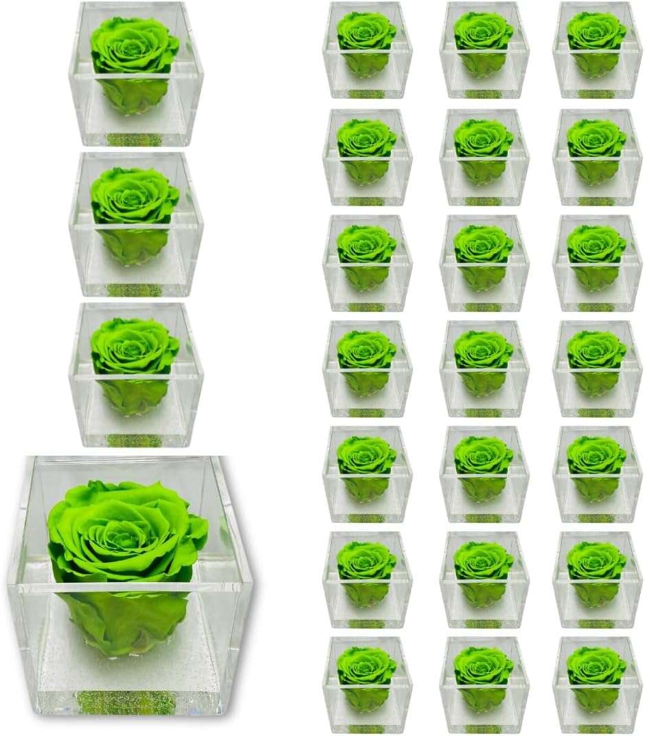 PremiumRose 25 Cubi Rosa Verde Stabilizzata e Profumata da 8 cm con Rosa Eterna Vera, Idea Regalo Mamma, Fidanzata, Amica, Idea