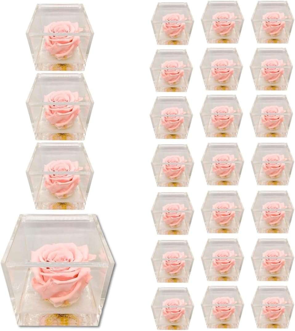 PremiumRose 25 Cubi Rosa Rosa Stabilizzata e Profumata da 5 cm con Rosa Eterna Vera, Idea Regalo Mamma, Fidanzata, Amica, Idea