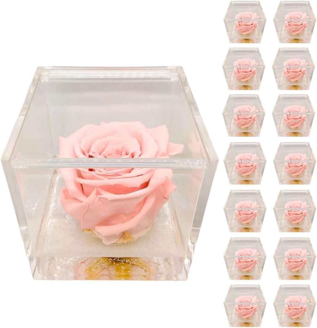 PremiumRose 15 Cubi Rosa Rosa Stabilizzata e Profumata da 5 cm con Rosa Eterna Vera, Idea Regalo Mamma, Fidanzata, Amica, Idea