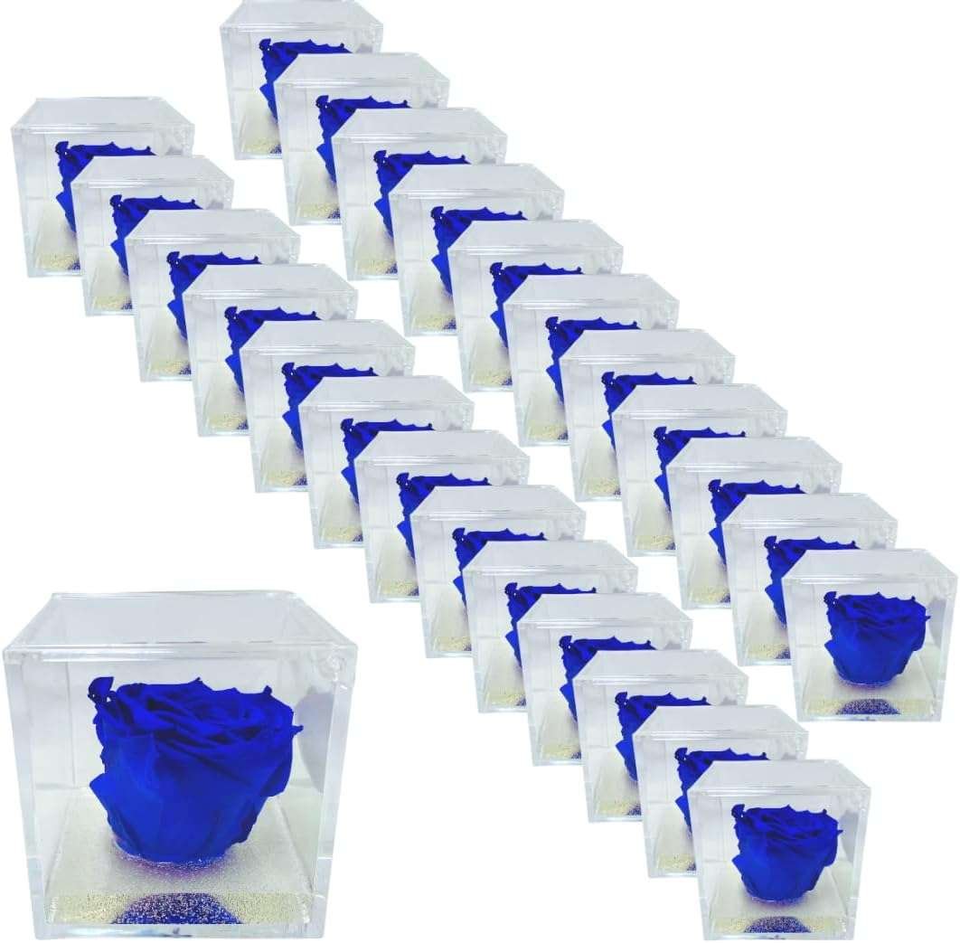 PremiumRose 25 Cubi Rosa Blu Stabilizzata e Profumata da 6 cm con Rosa Eterna Vera, Idea Regalo Mamma, Fidanzata, Amica, Idea