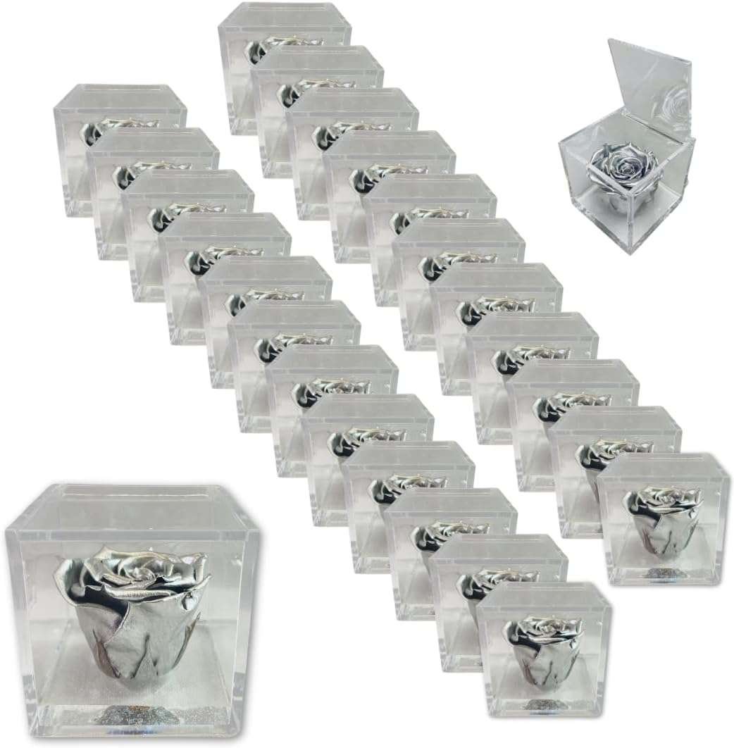 PremiumRose 25 Cubi Rosa Argento Stabilizzata e Profumata da 8 cm con Rosa Eterna Vera, Idea Regalo Mamma, Fidanzata, Amica,