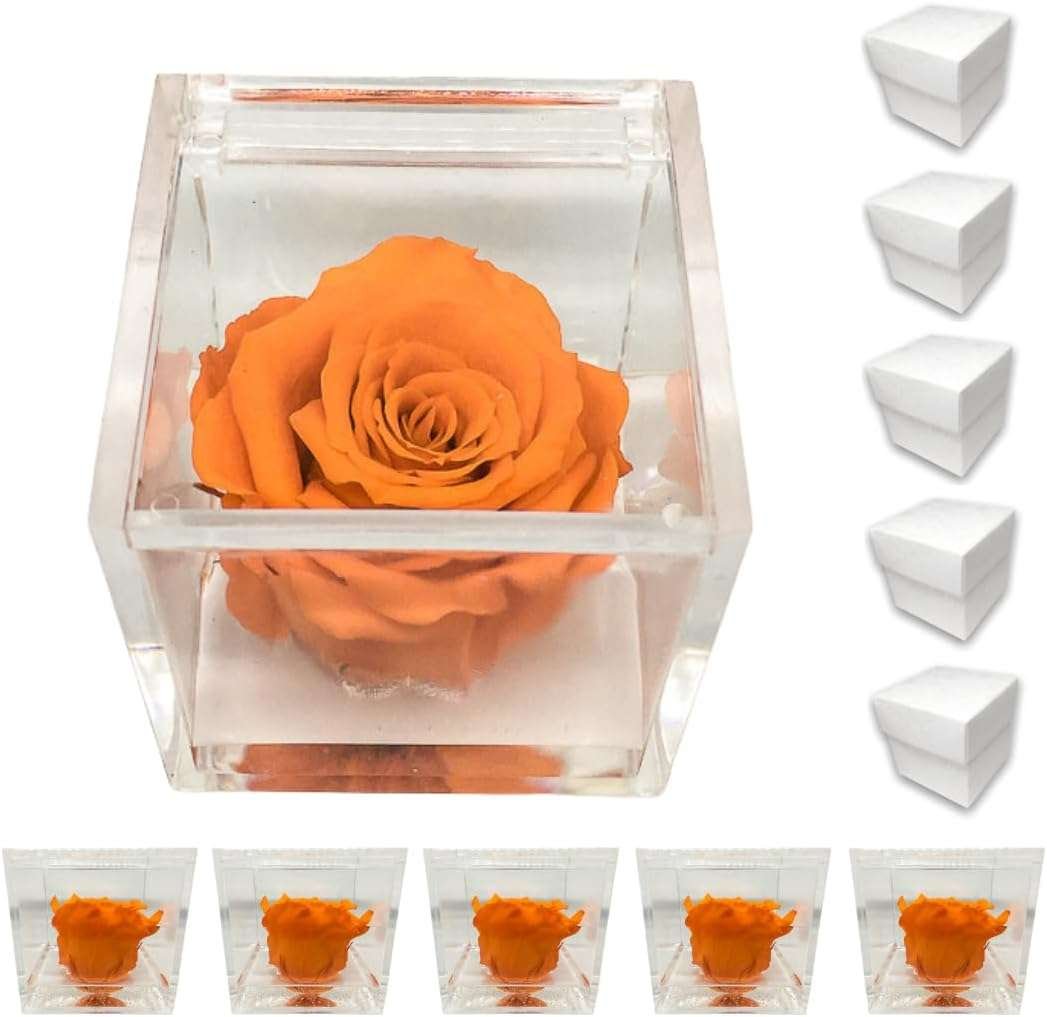 PremiumRose 5 Cubi Arancione Rossa Stabilizzata e Profumata da 5 cm con Rosa Eterna Vera, Idea Regalo Mamma, Fidanzata, Amica,