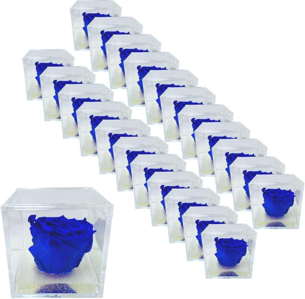 PremiumRose 25 Cubi Rosa Blu Stabilizzata e Profumata da 8 cm con Rosa Eterna Vera, Idea Regalo Mamma, Fidanzata, Amica, Idea