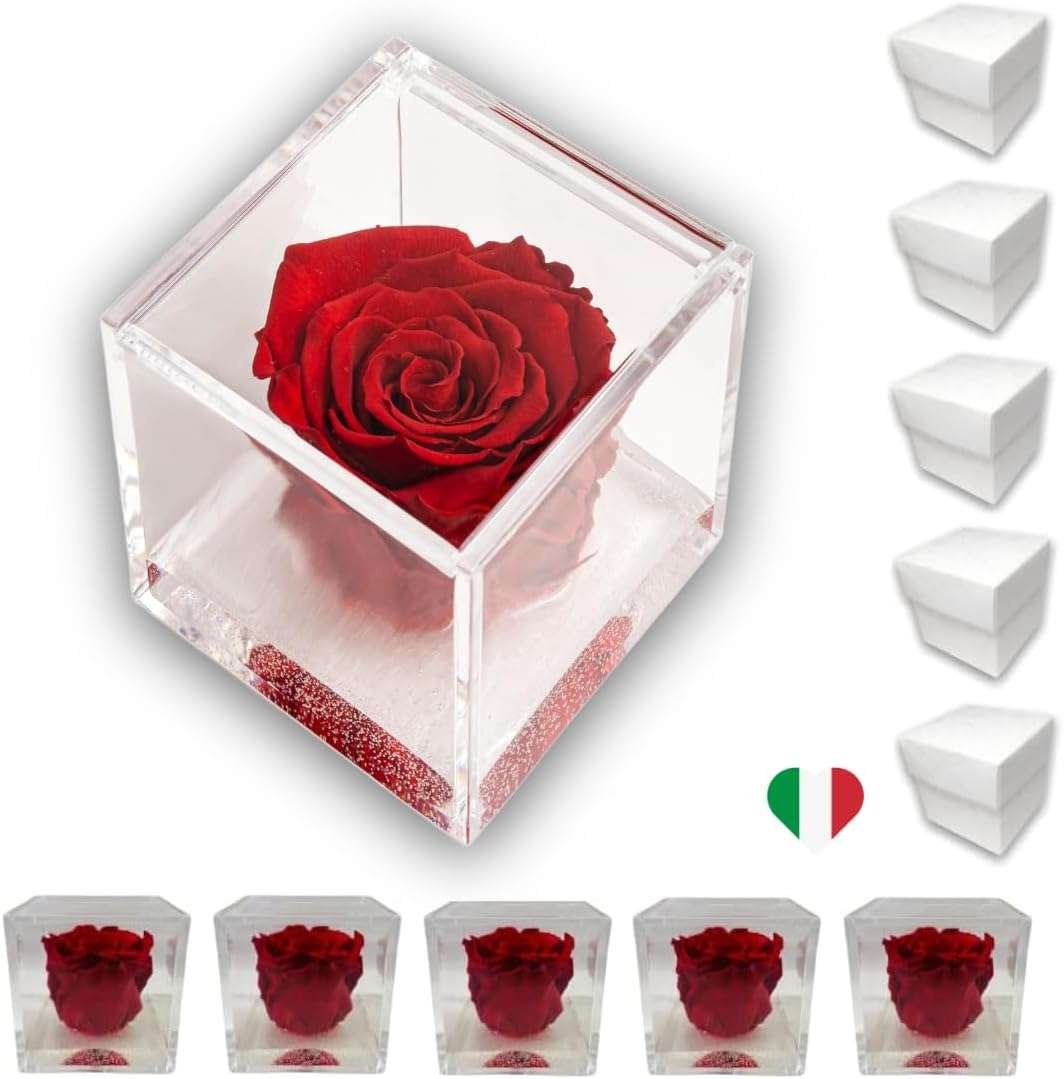 PremiumRose 5 Cubi Rosa Rossa Stabilizzata e Profumata da 5 cm con Rosa Eterna Vera, Idea Regalo Mamma, Fidanzata, Amica, Idea