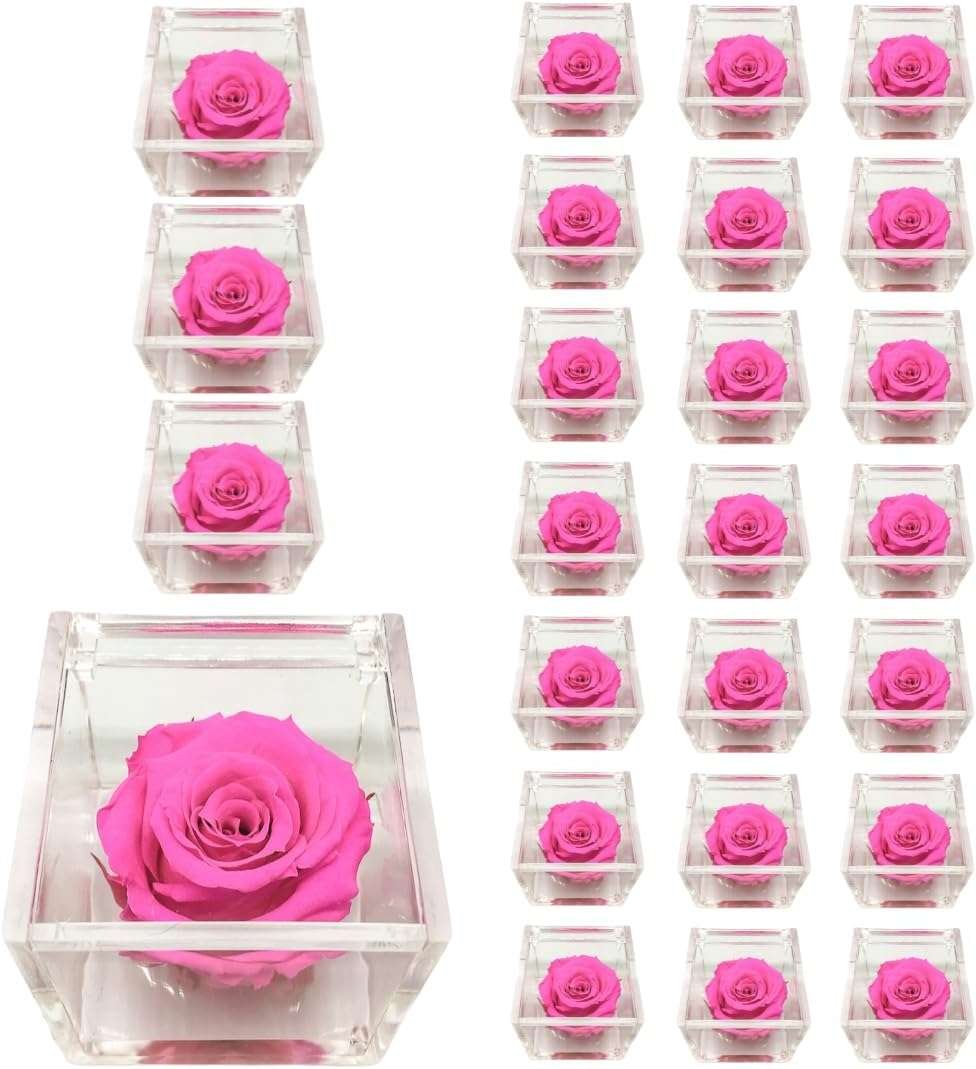 PremiumRose 25 Cubi Rosa Fucsia Stabilizzata e Profumata da 5 cm con Rosa Eterna Vera, Idea Regalo Mamma, Fidanzata, Amica, Idea