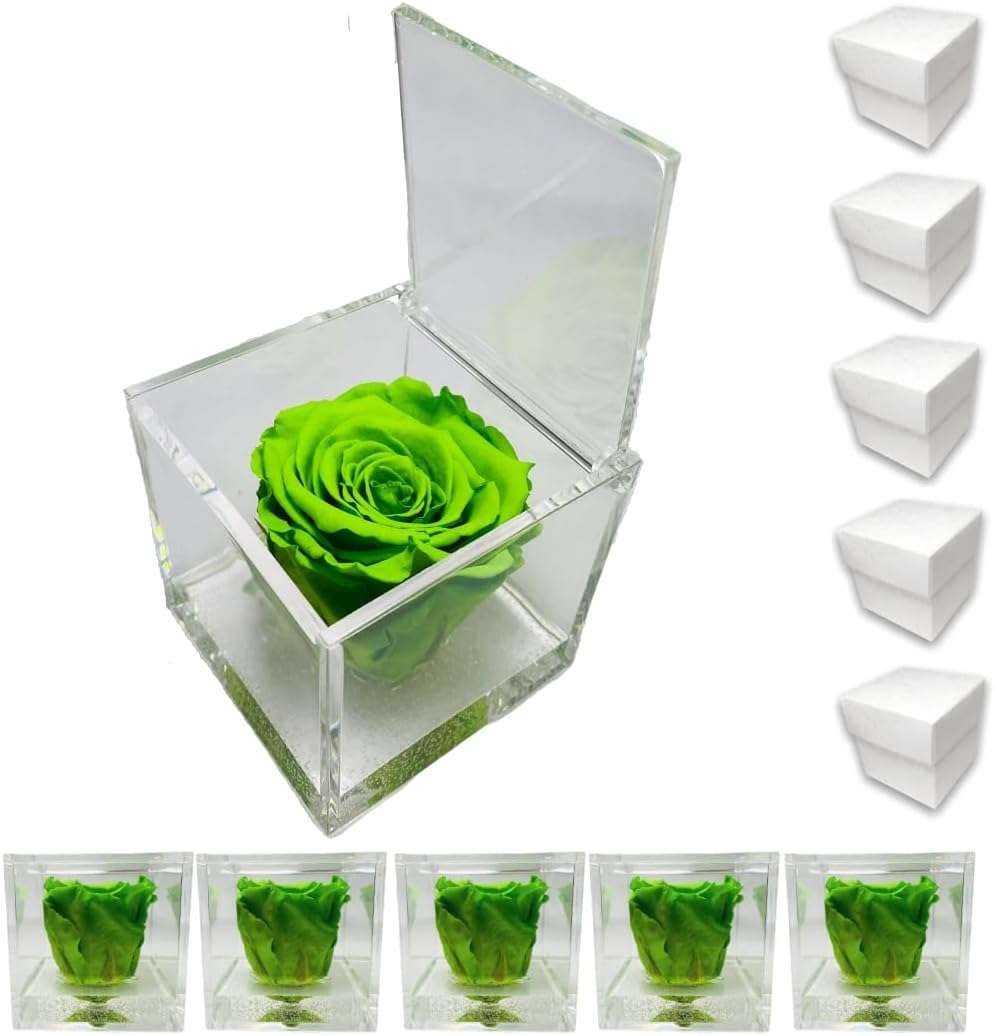 PremiumRose 5 Cubi Rosa Verde Stabilizzata e Profumata da 5 cm con Rosa Eterna Vera, Idea Regalo Mamma, Fidanzata, Amica, Idea
